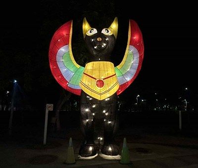 燈光為家，城市有愛2026中臺灣燈會「動物夢世界」在臺中中央公園溫柔登場